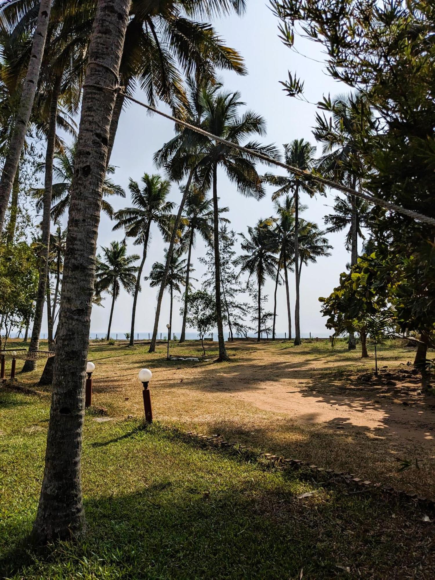 Baycliff Cottages Varkala Exteriér fotografie