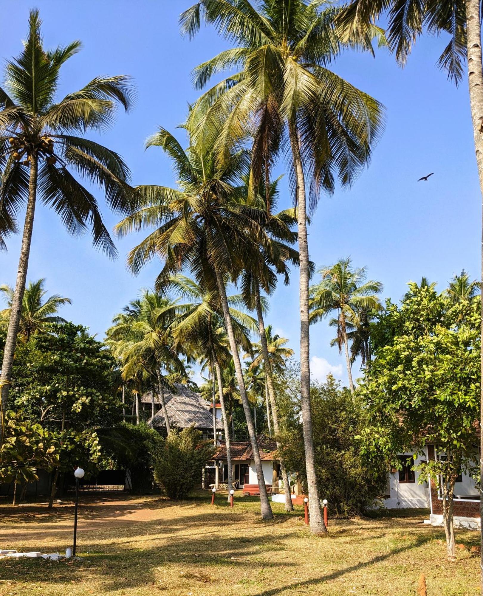 Baycliff Cottages Varkala Exteriér fotografie